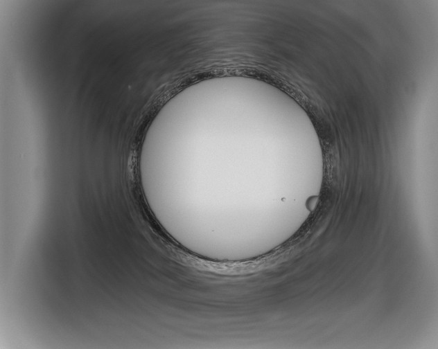 X0000116670038200912140954