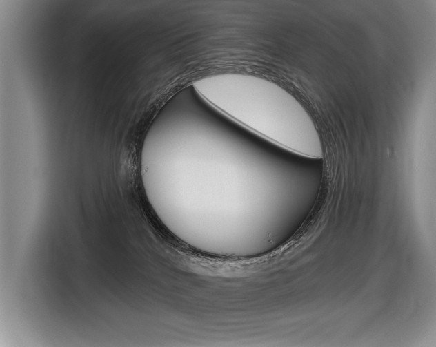 X0000116670040200912140954