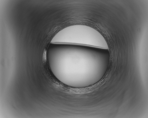 X0000116670041200912140954