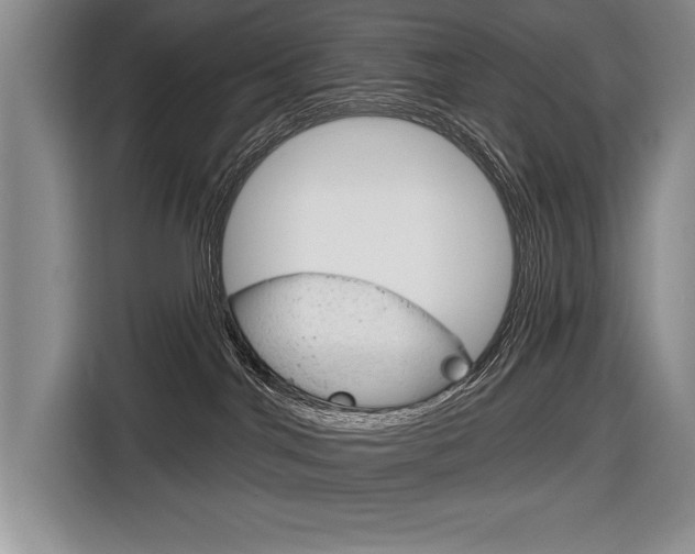 X0000116670044200912140954