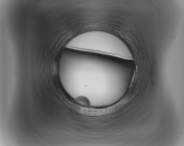 X0000116670048200912140954