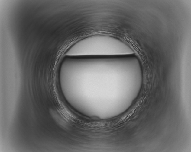 X0000116670049200912140953