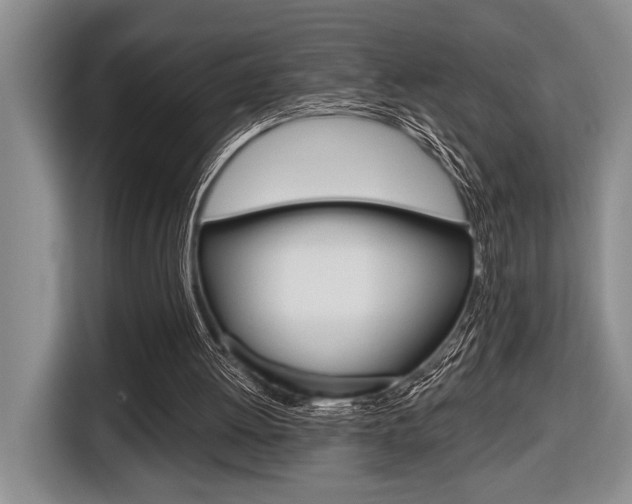 X0000116670052200912140953