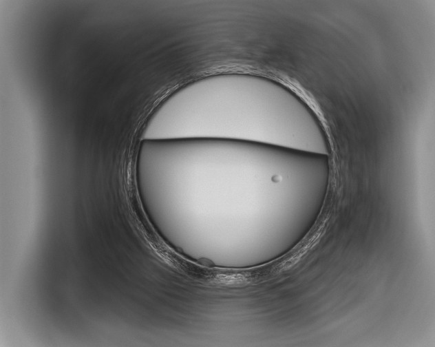 X0000116670057200912140953