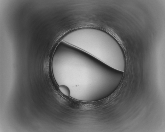 X0000116670058200912140953