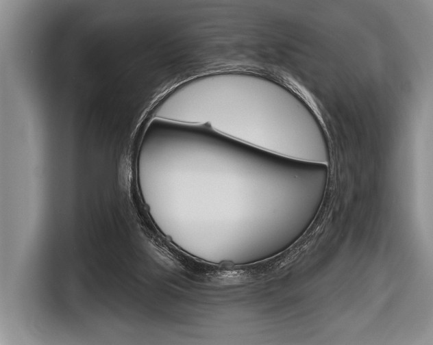 X0000116670059200912140953