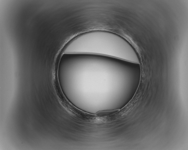 X0000116670060200912140953