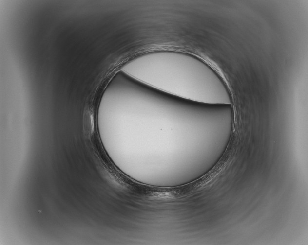 X0000116670061200912140953