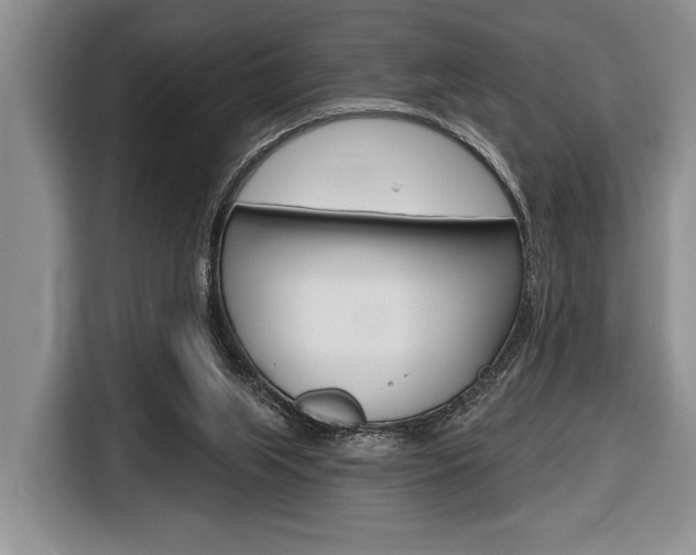 X0000116670063200912140953