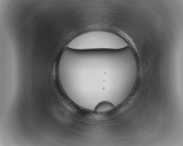 X0000116670065200912140953