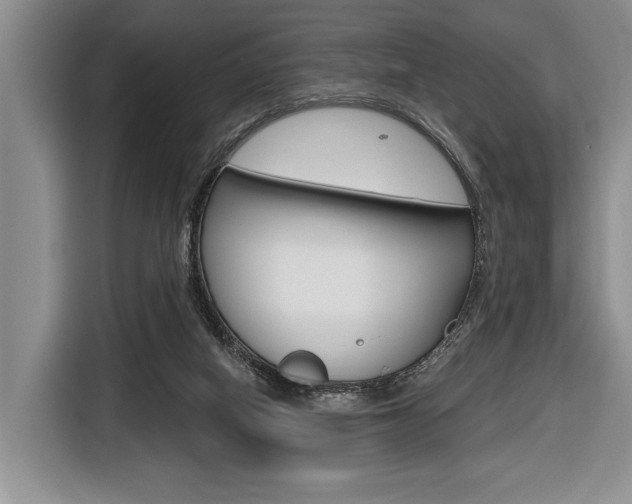 X0000116670066200912140953