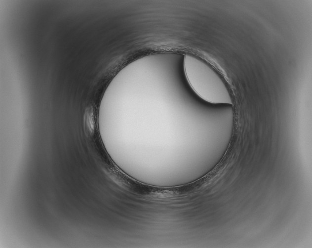X0000116670069200912140953