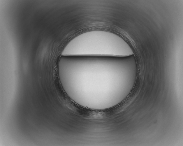X0000116670073200912140954