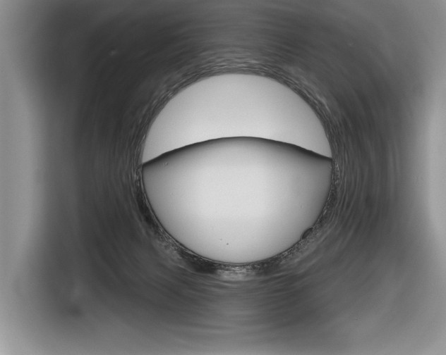 X0000116670079200912140954