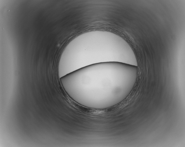 X0000116670081200912140954