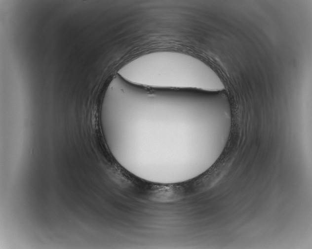 X0000116670083200912140954