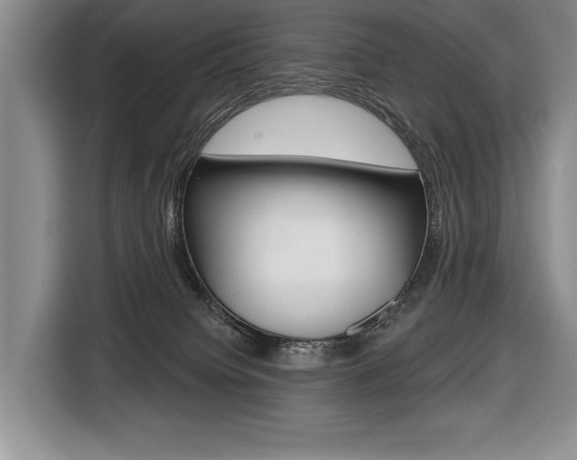 X0000116670084200912140954