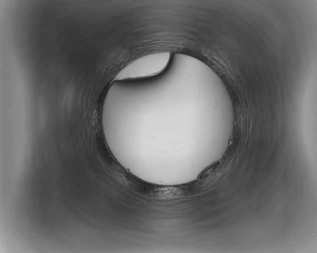 X0000116670087200912140954