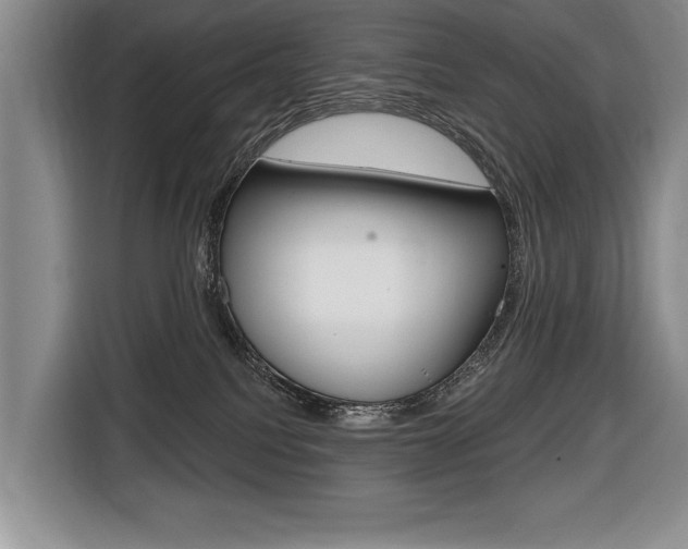 X0000116670088200912140954