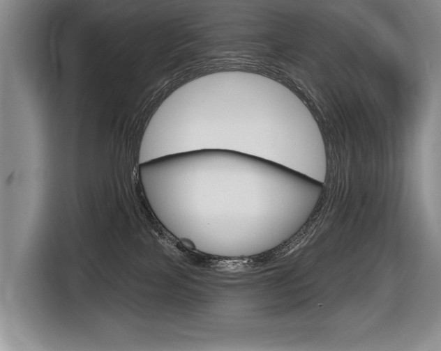 X0000116670089200912140954