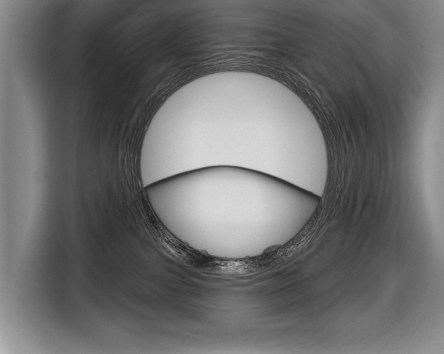 X0000116670091200912140954