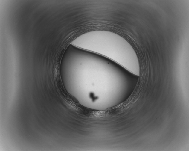 X0000116670092200912140954