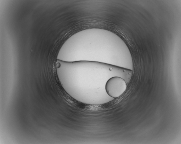 X0000116670093200912140954
