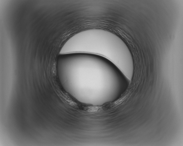 X0000116670096200912140954