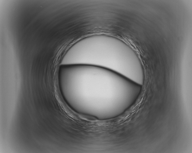X0000116670097200912140953