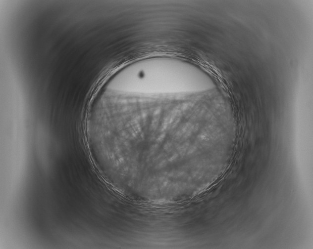 X0000116670098200912140953