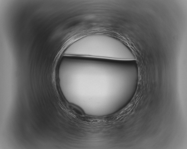X0000116670099200912140953