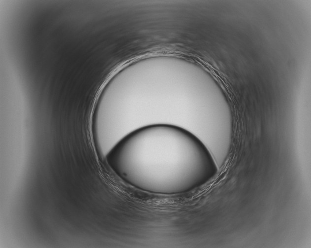 X0000116670100200912140953