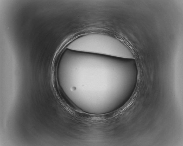 X0000116670101200912140953