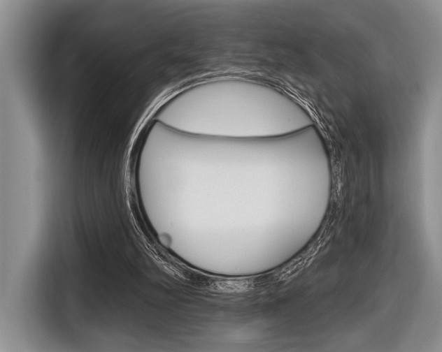 X0000116670102200912140953