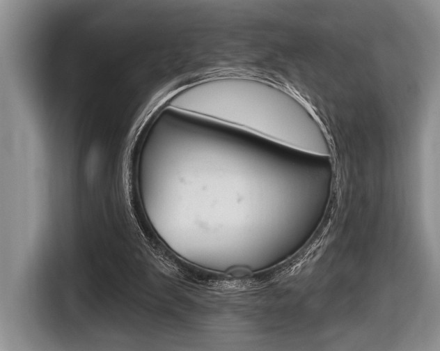 X0000116670103200912140953