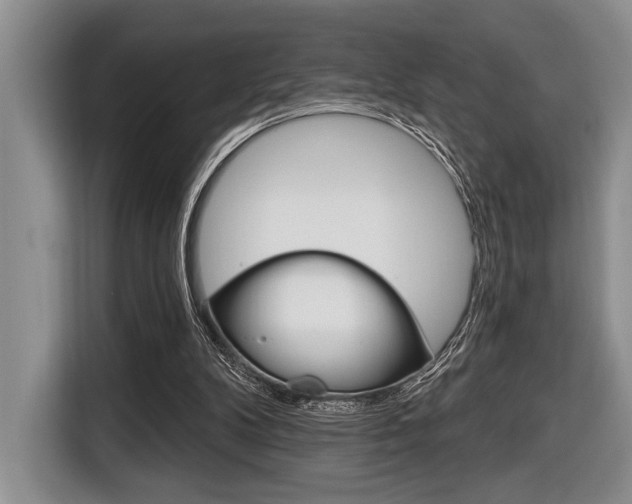 X0000116670104200912140953