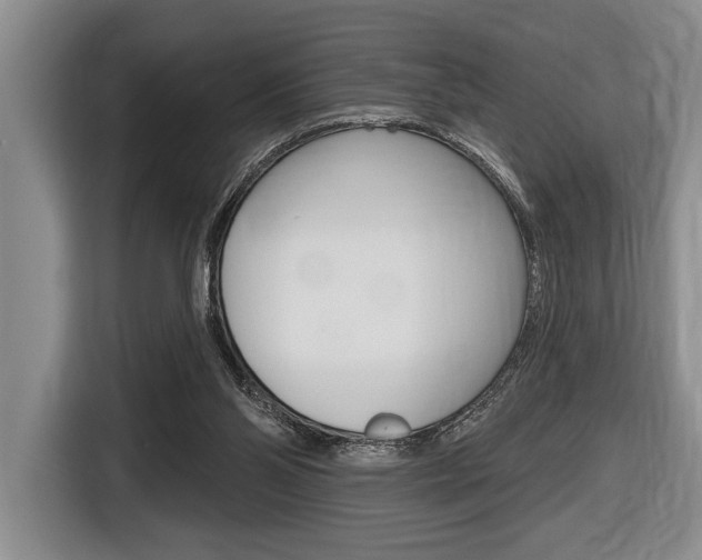 X0000116670110200912140953