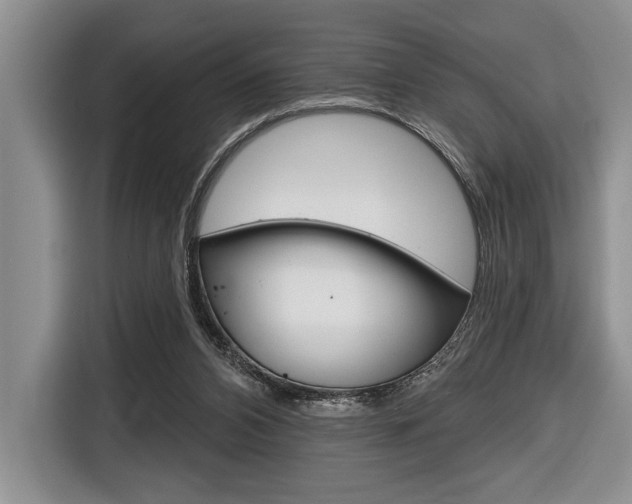 X0000116670112200912140953