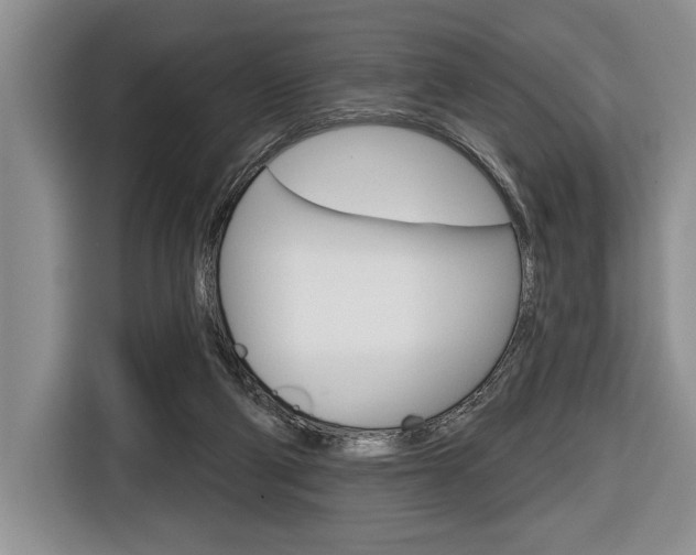 X0000116670114200912140953