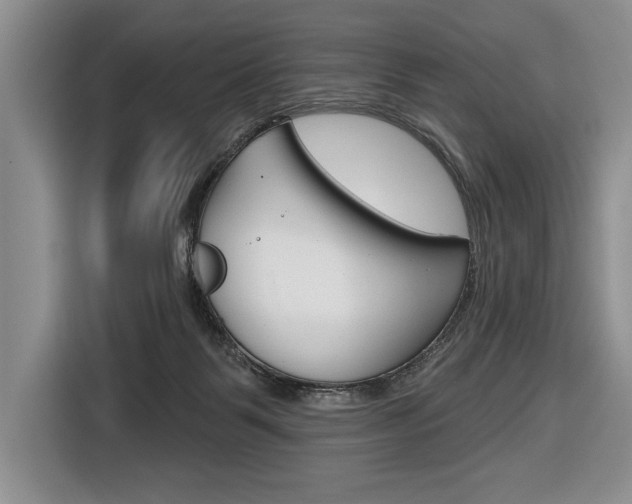 X0000116670123200912140953