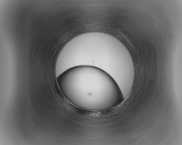 X0000116670124200912140953