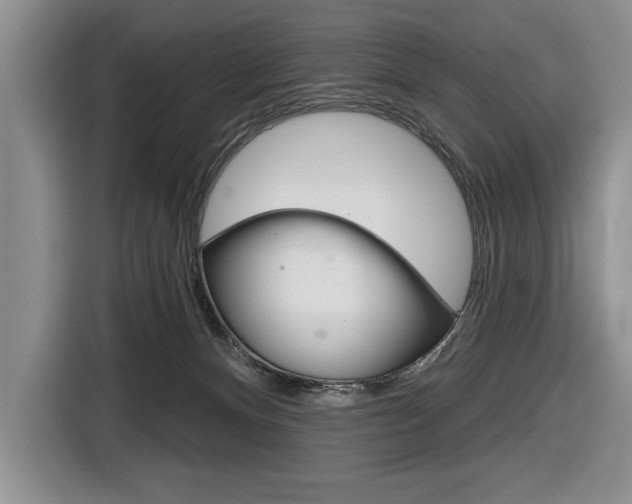 X0000116670128200912140953