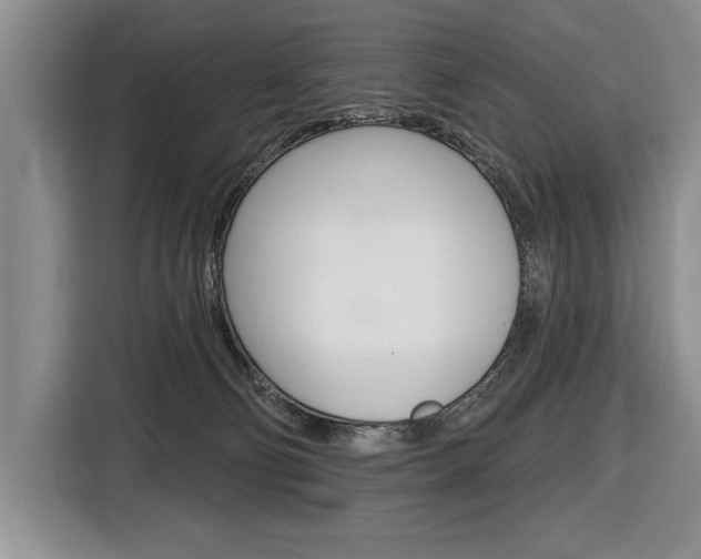 X0000116670130200912140953
