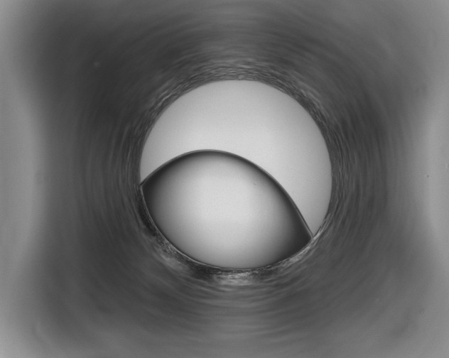 X0000116670132200912140953