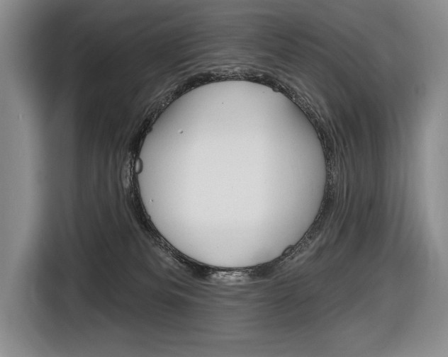 X0000116670133200912140953