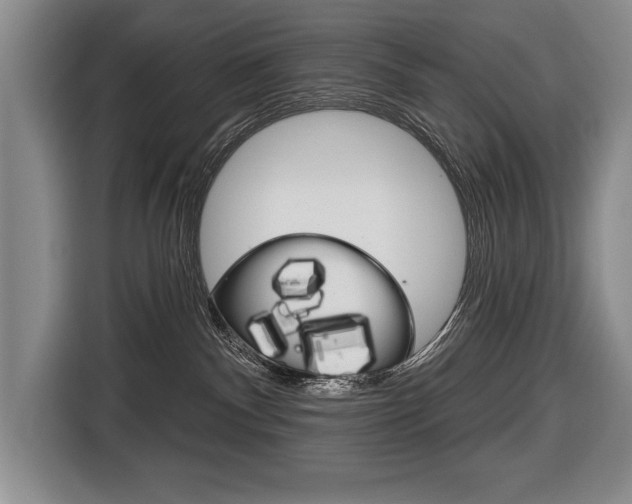 X0000116670140200912140953