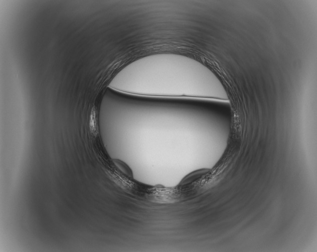X0000116670143200912140953