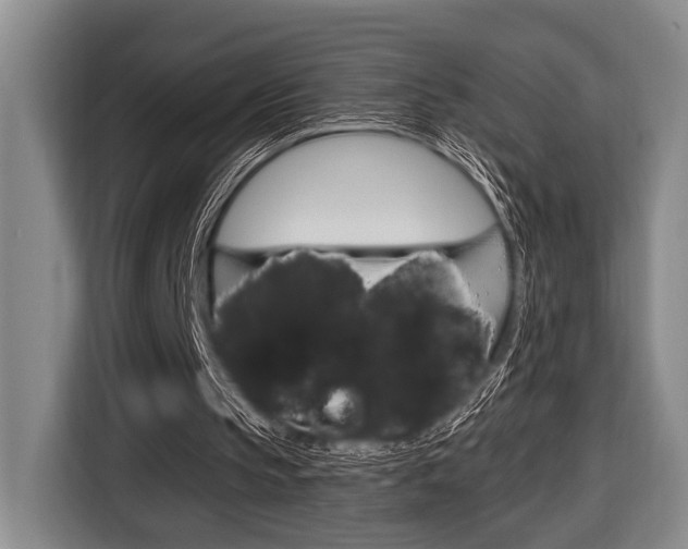 X0000116670145200912140952