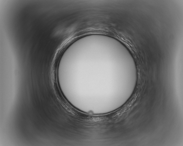X0000116670149200912140952