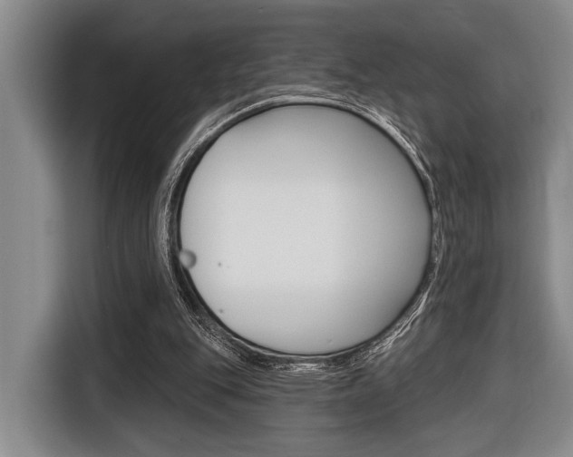 X0000116670151200912140952